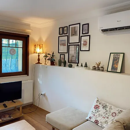 Flat In Ortakoey