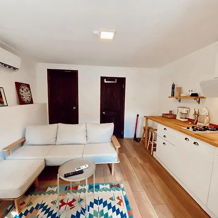 Flat In Ortakoey 伊斯坦布尔