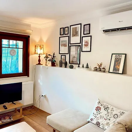 Flat In Ortakoey Apartman Isztambul