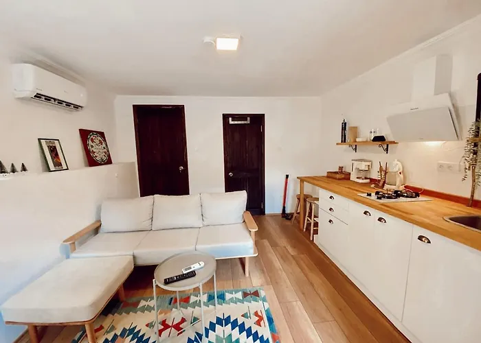 Flat In Ortakoey 伊斯坦布尔