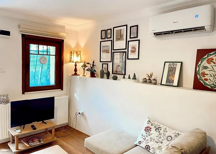 Flat In Ortakoey 公寓 伊斯坦布尔