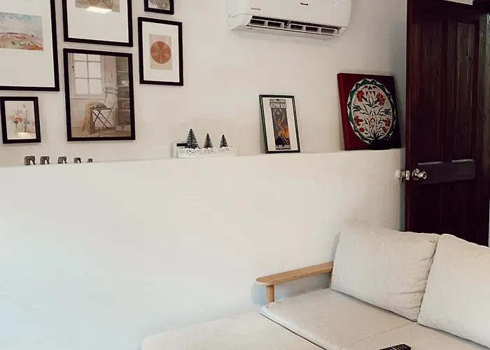 公寓 Flat In Ortakoey 伊斯坦布尔