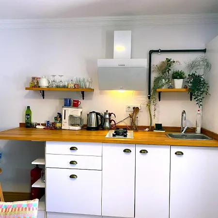 Lägenhet Flat In Ortakoey Istanbul