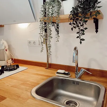 Flat In Ortakoey Appartement